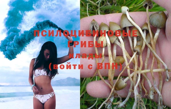 прущая мука Козельск