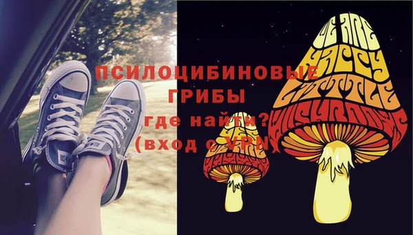 трава Карпинск