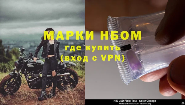 трава Карпинск
