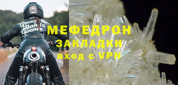 трава Карпинск