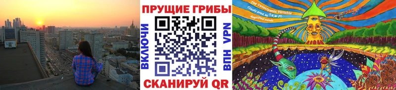 Псилоцибиновые грибы прущие грибы Кувшиново