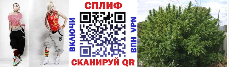 Шишки марихуана THC 21%  Кувшиново 